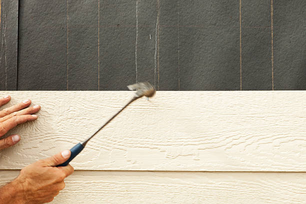 Best Stone Veneer Siding  in Breezy Point, MN